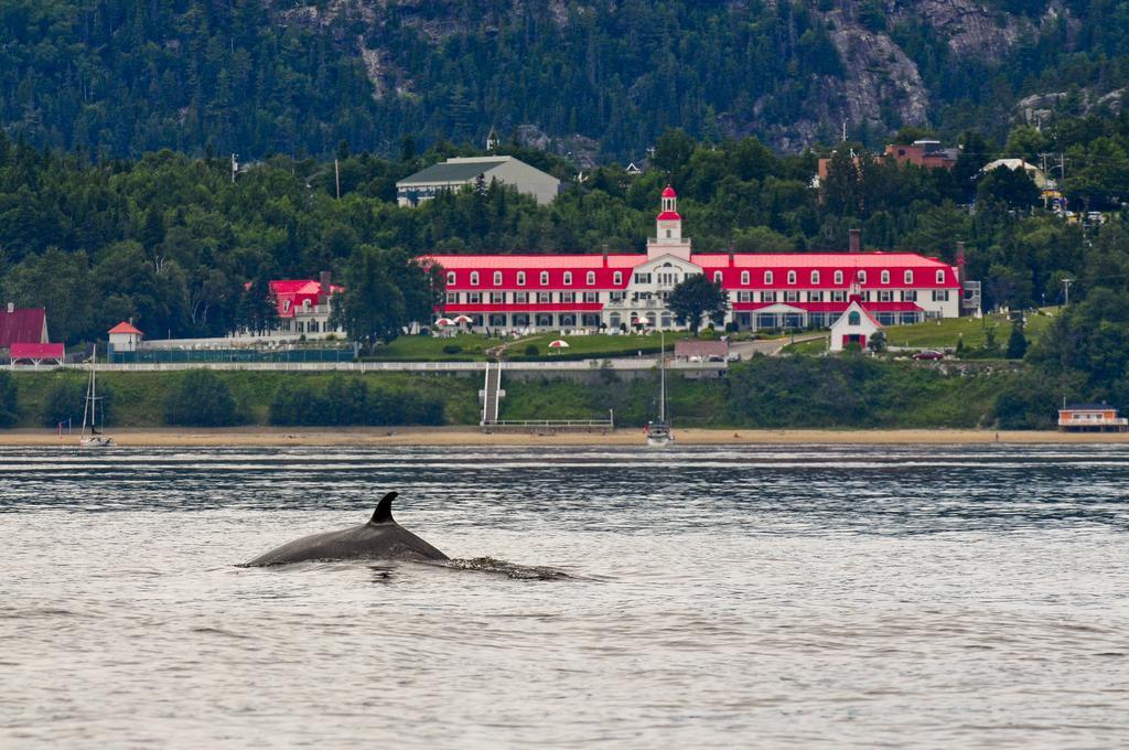 Gite au Vieux Pommier Tadoussac Extérieur photo