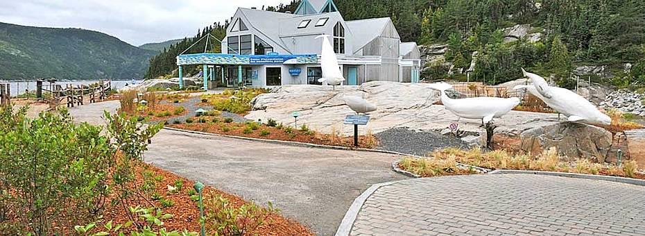 Gite au Vieux Pommier Tadoussac Extérieur photo