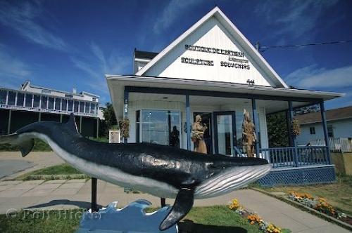 Gite au Vieux Pommier Tadoussac Extérieur photo